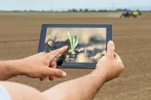 Basf lança nova edição de desafio para startups do agro; foco é solução para rastrear folhas de soja