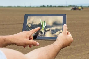 Imagem referente à matéria: Basf lança nova edição de desafio para startups do agro; foco é solução para rastrear folhas de soja