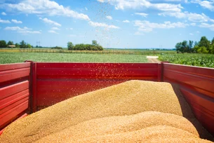 Safra 2023/24: produção brasileira de grãos deve atingir 299,27 milhões de toneladas, estima Conab