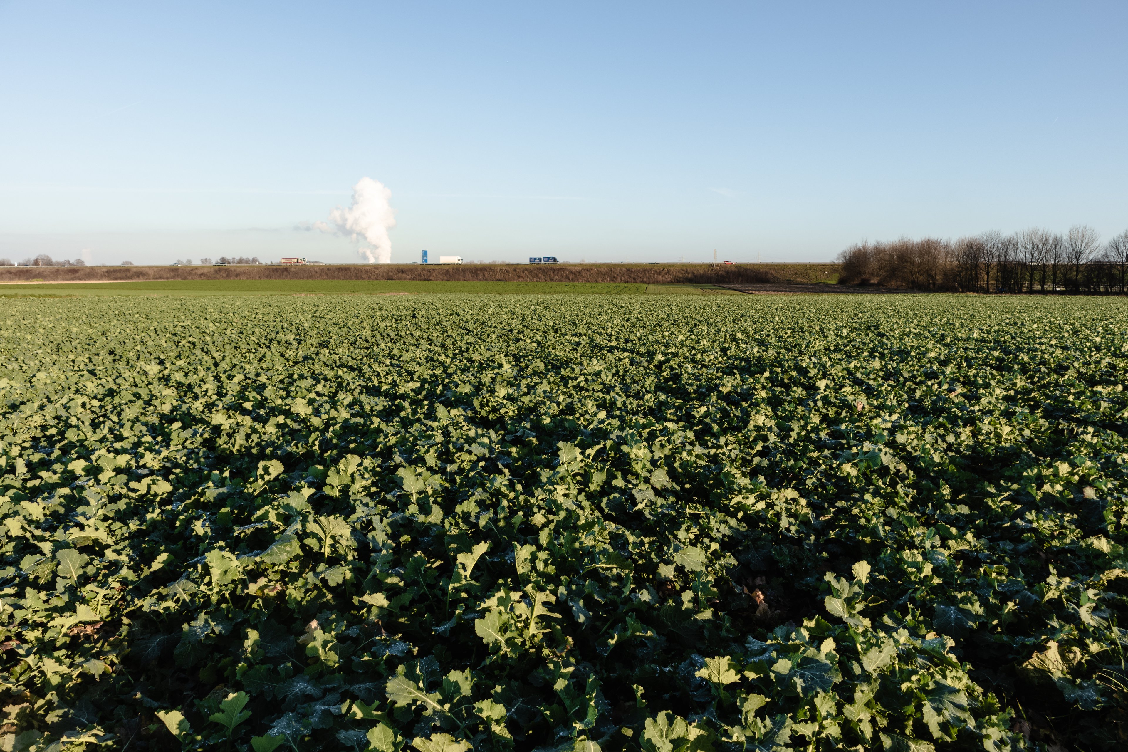 Picsel recebe R$ 5 milhões da Arar Capital para expandir tecnologia em seguros agrícolas