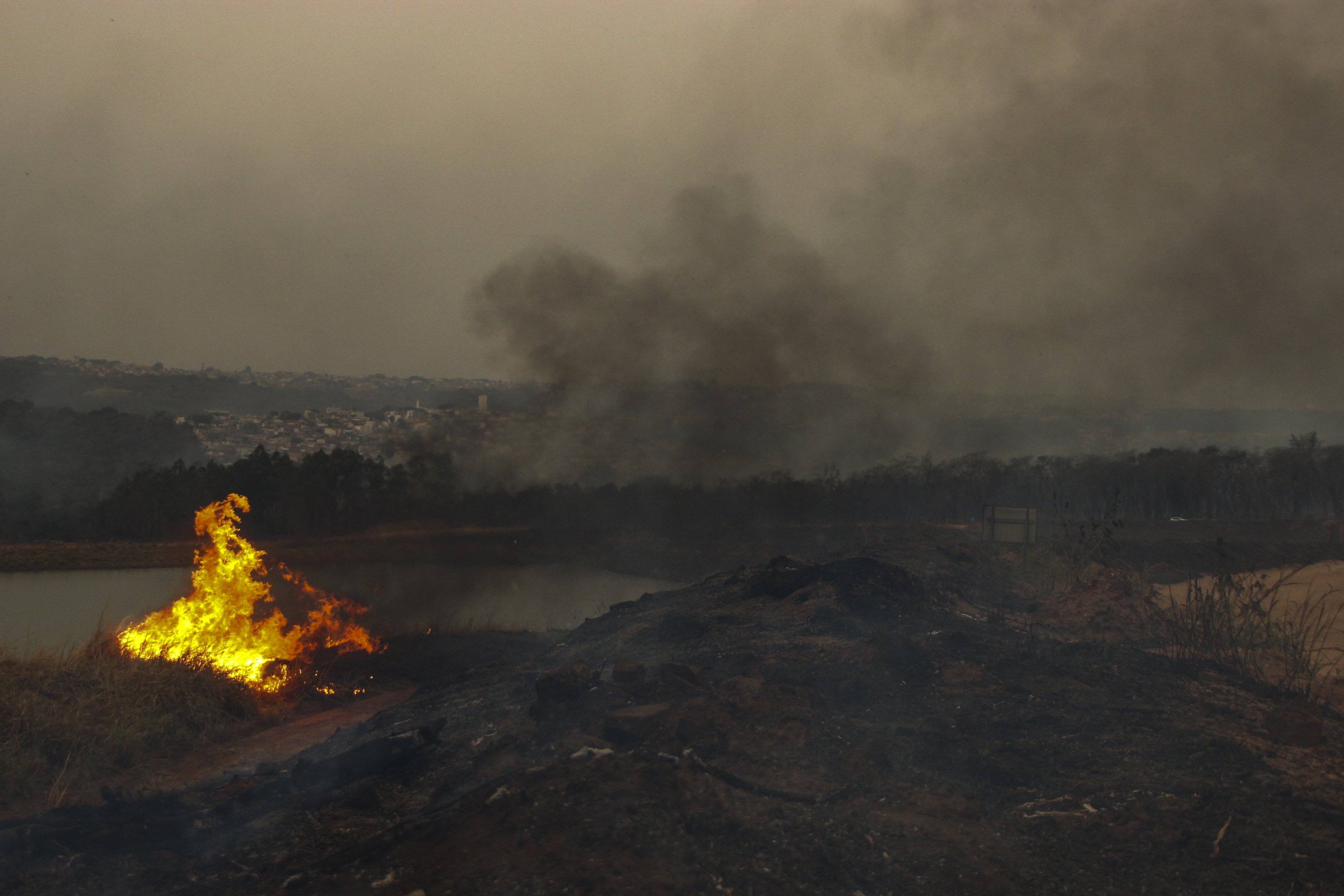 An area affected by bushfires is pictured near the SP-215 highway in Sao Carlos, Sao Paulo state, Brazil on August 23, 2024. Forest fires in southeastern Brazil prompted a maximum alert to be declared on August 23, in around 30 cities in the state of Sao Paulo, where the fire blocked roads and smoke reached the capital Sao Paulo, according to local authorities. (Photo by Lourival Izaque / AFP)