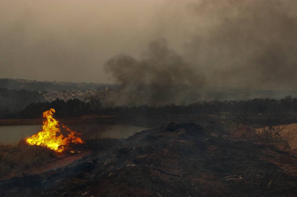 Incêndios em São Paulo: setor sucroalcooleiro deve ter prejuízo de R$ 500 milhões