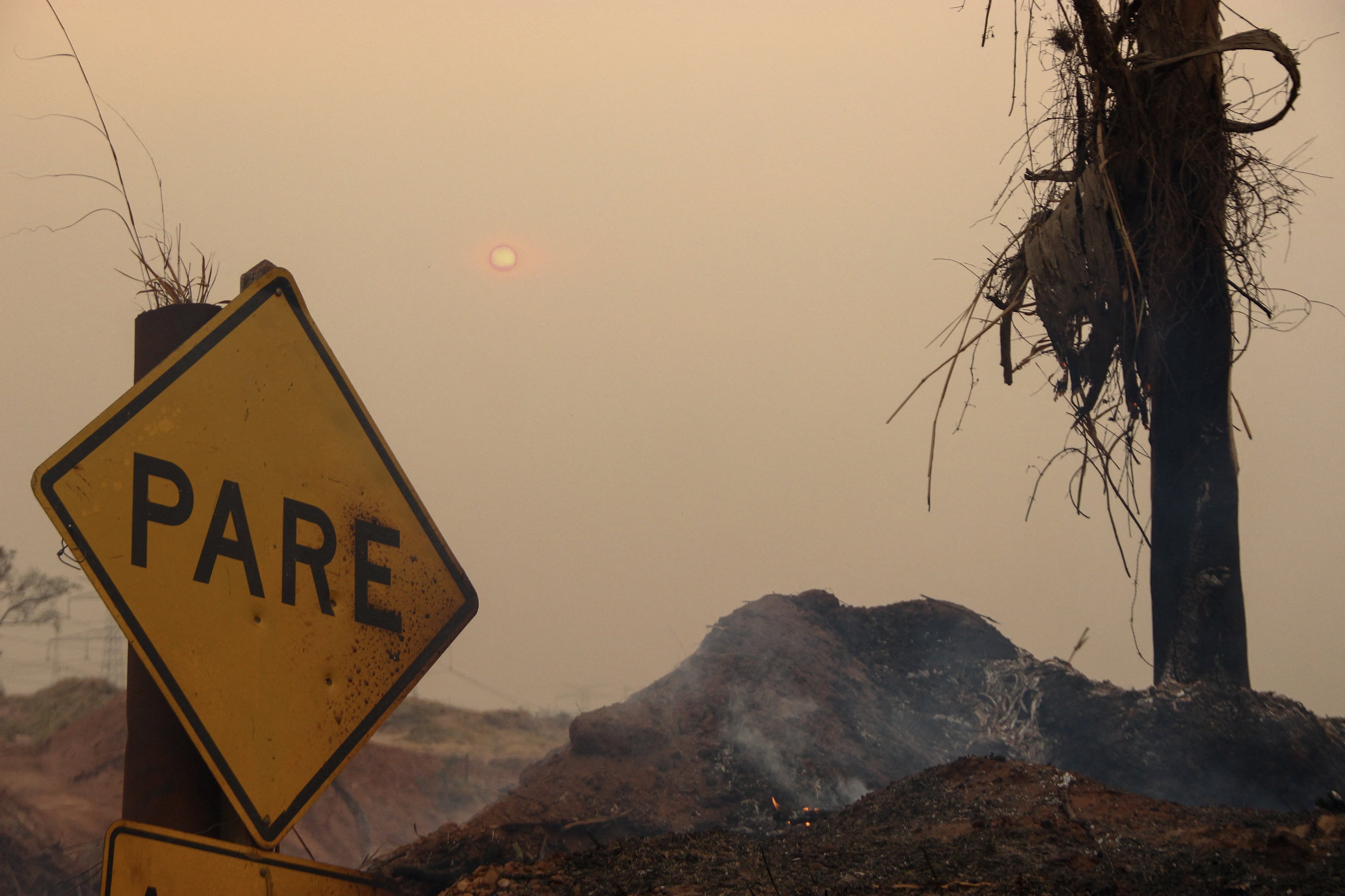 An area affected by bushfires is pictured near the SP-215 highway in Sao Carlos, Sao Paulo state, Brazil on August 23, 2024. Forest fires in southeastern Brazil prompted a maximum alert to be declared on August 23, in around 30 cities in the state of Sao Paulo, where the fire blocked roads and smoke reached the capital Sao Paulo, according to local authorities. (Photo by Lourival Izaque / AFP)