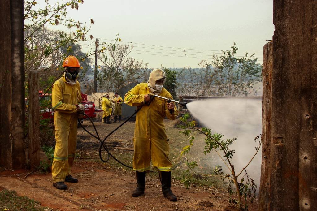 Endurecimento de pena para quem provoca incêndios é a solução?