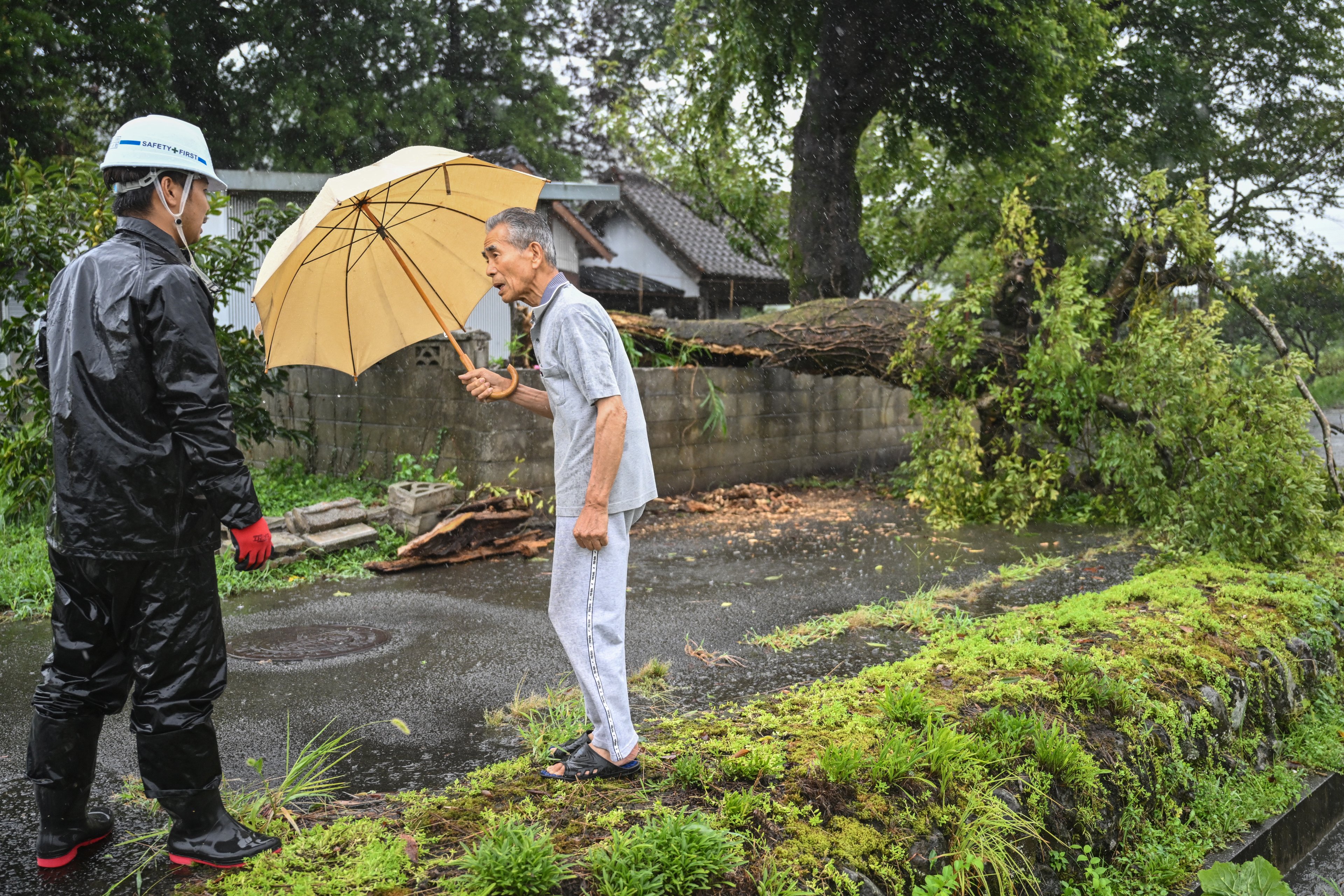 Pessoas conversam ao lado de uma árvore caída derrubada por ventos fortes do Tufão Shanshan em Usa, província de Oita em 29 de agosto de 2024