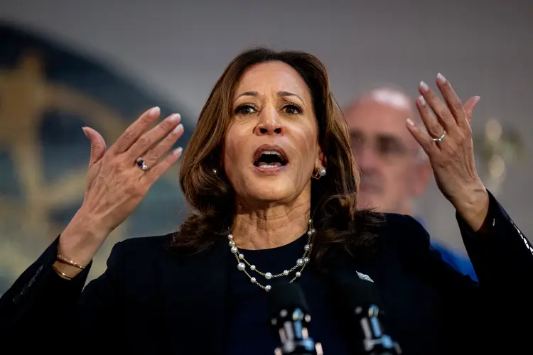 WAYNE, MICHIGAN - AUGUST 08: Democratic presidential candidate, U.S. Vice President Kamala Harris speaks at a campaign rally at United Auto Workers Local 900 on August 8, 2024 in Wayne, Michigan. Kamala Harris and her newly selected running mate Tim Walz are campaigning across the country this week.   Andrew Harnik/Getty Images/AFP (Photo by Andrew Harnik / GETTY IMAGES NORTH AMERICA / Getty Images via AFP) (Andrew Harnik/AFP)