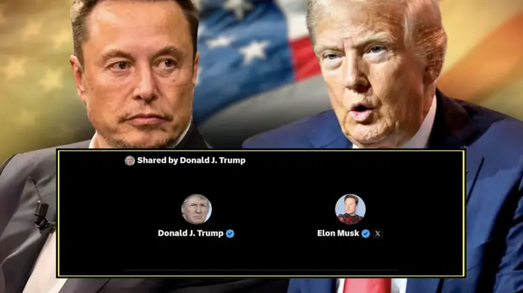 Musk declarou apoio a Trump logo após o atentado na Pensilvânia (Reprodução )