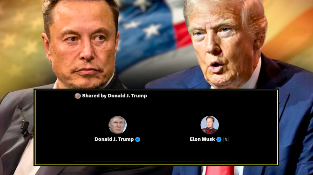 Eleições americanas: Trump considera chamar Musk para gabinete caso vença em novembro