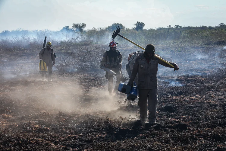 Gravidade: "Uma crise muito séria já se estabeleceu no Pantanal", analisa Côrtes (Michel Alvim - SECOM / MT/Divulgação)