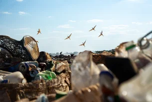 Se nada for feito, gestão de resíduos no Brasil poderá custar R$ 168,5 bilhões em 2050