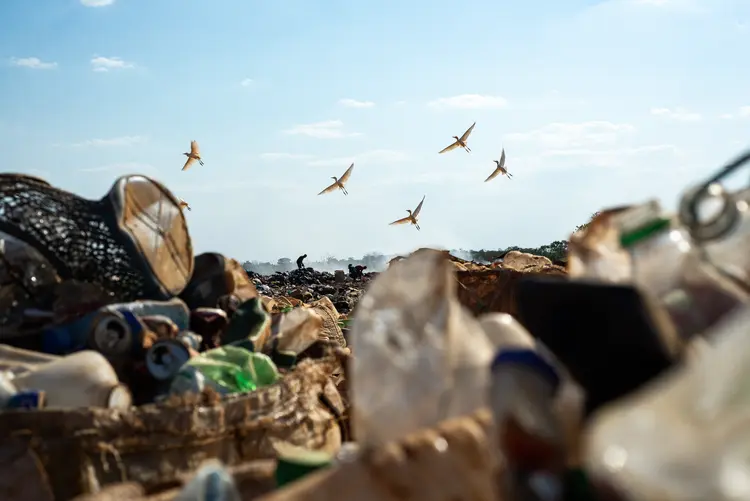 Gastos: até 2020, a gestão de resíduos no Brasil custou R$ 120 bilhões, aponta estudo (Getty Images)