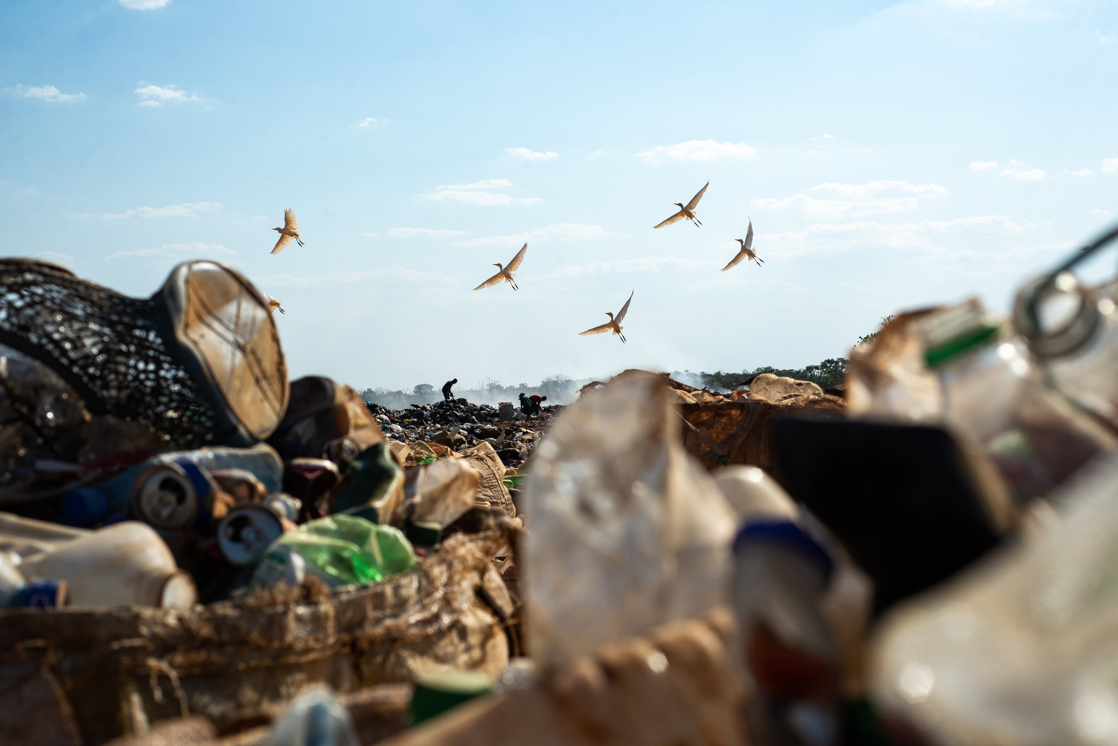 Recyclable waste pickers at the dump