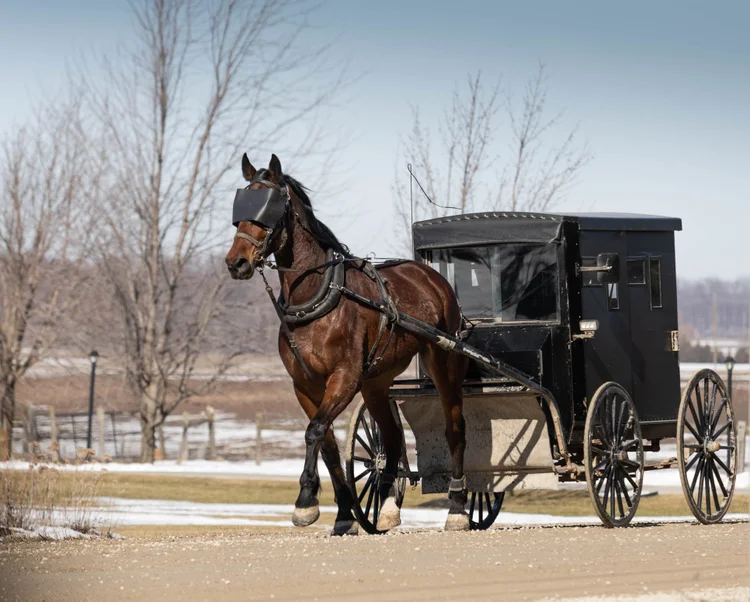 Bruxelas é a primeira cidade na Europa a fazer a transição de cavalos para carruagens elétricas. (akaplummer/Getty Images)