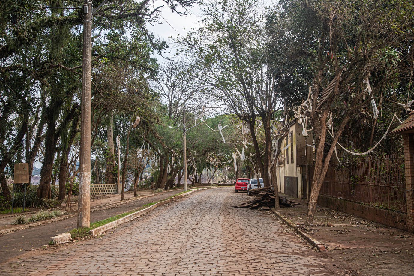 Ainda é possível ver plásticos e entulhos nas copas das árvores