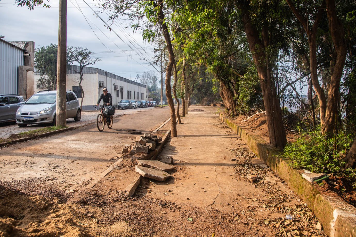 Ainda é possível ver plásticos e entulhos nas copas das árvores