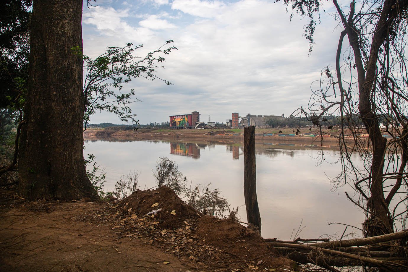 Ao lado da Prinz, rio subiu e levou casas e árvores