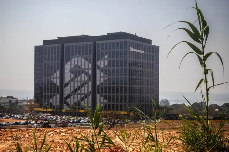 Banco do Brasil: analistas citam “ventos contrários” no setor rural para redução do lucro (Leandro Fonseca)