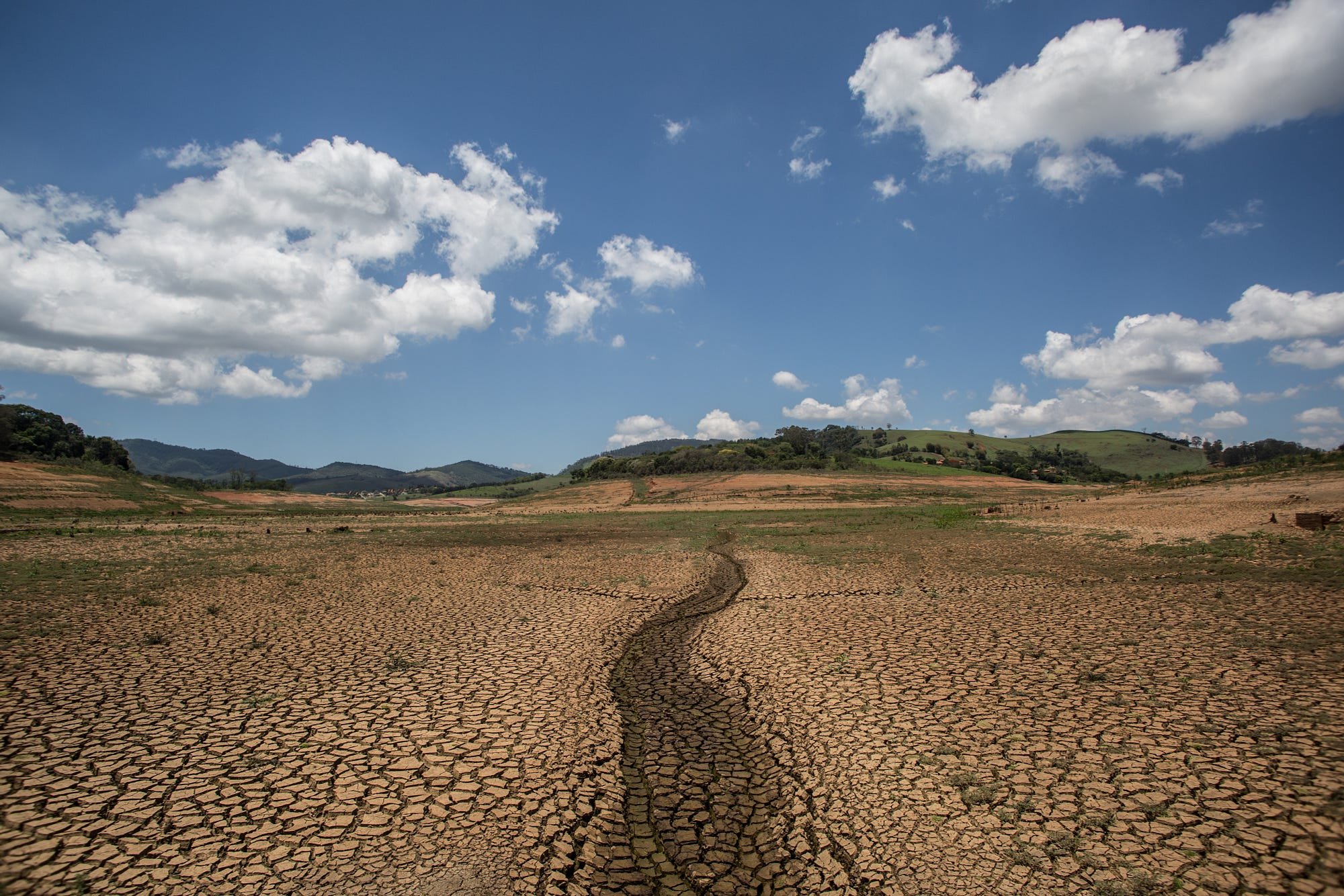 Opinião: Seca na Amazônia não surpreende, mas exige ações imediatas