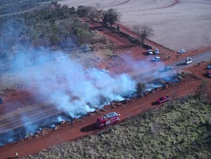 Imagem referente à matéria: Após R$ 1 bilhão de prejuízo, SP enfrenta novos riscos de incêndios em quase todo o estado