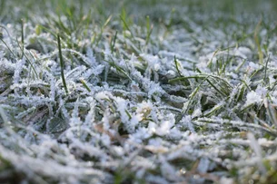 Nova frente fria faz temperaturas caírem abaixo de 4 graus e pode trazer neve; veja onde e quando