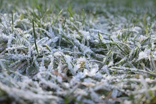 Imagem referente à matéria: Nova frente fria faz temperaturas caírem abaixo de 4 graus e pode trazer neve; veja onde e quando