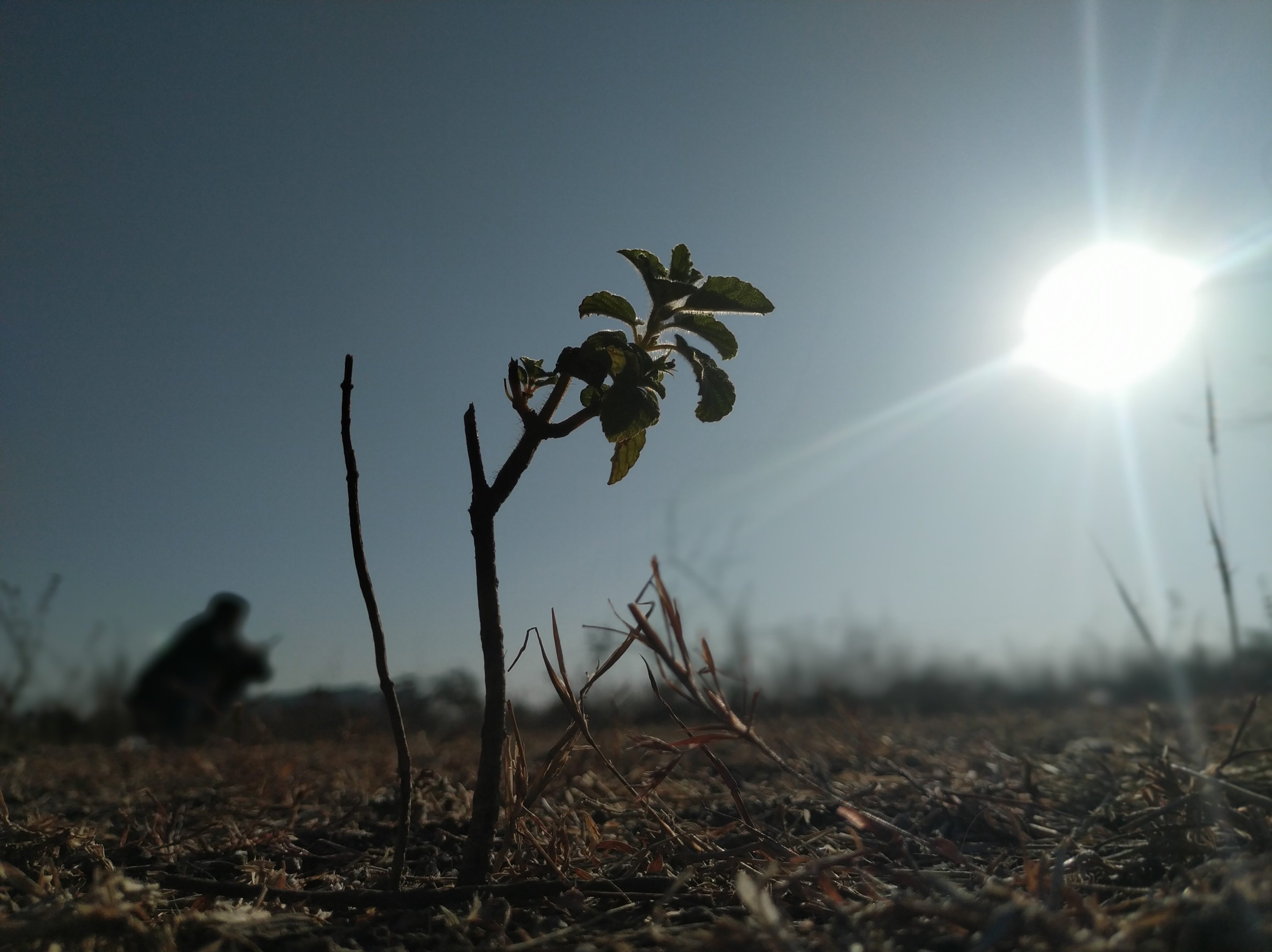 La Niña deve chegar entre setembro e novembro; veja como o Brasil pode ser afetado