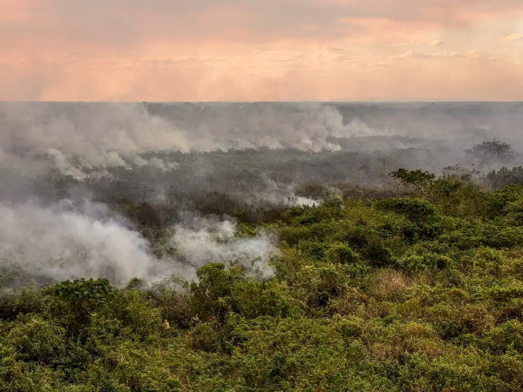 Governo cria estratégia para conter incêndios ambientais antes que aconteçam