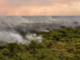 Polícia investiga mais de 20 pessoas por incêndios florestais no Rio