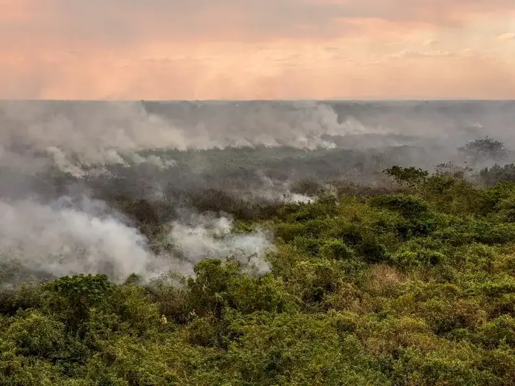 Focos: Mato Grosso, Pará e Mato Grosso do Sul foram os estados mais afetados pelo fogo em agosto (Marcelo Camargo/Agência Brasil)