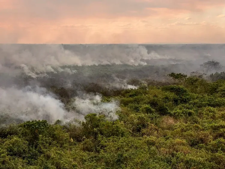 Ameaça: emissões por incêndios no mundo, como no Pantanal, totalizaram 8,6 bilhões de toneladas de Gt CO2, ou seja, a sétima mais alta desde 2003 (Marcelo Camargo/Agência Brasil)