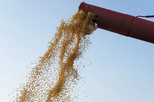 Imagem referente à matéria: Exportações do agro brasileiro batem novo recorde e crescem 8,8% em julho, diz Mapa