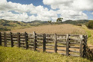 Imagem referente à matéria: ITR 2024: prazo para declaração começa nesta segunda-feira; saiba como fazer