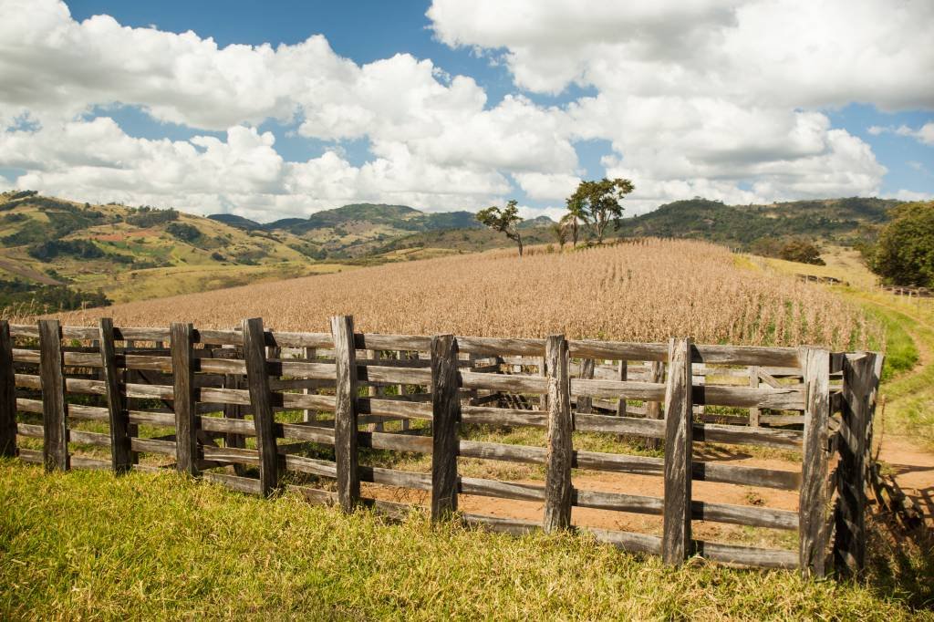 ITR 2024: prazo para declaração começa nesta segunda-feira; saiba como fazer