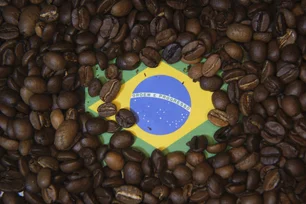 Imagem referente à matéria: Para proteger produtor brasileiro, B3 lança contrato futuro de café robusta em reais