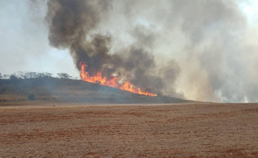 Queimadas em SP: Aeroportos afetados pela fumaça dos incêndios voltam a funcionar normalmente