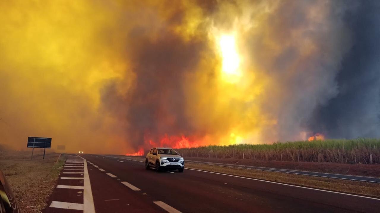 Financiamento climático: uma solução próspera para a crise