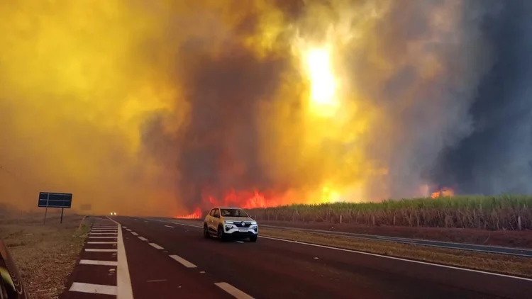 Incêndios em Ribeirão Preto, no interior de São Paulo (Redes Sociais/Divulgação)