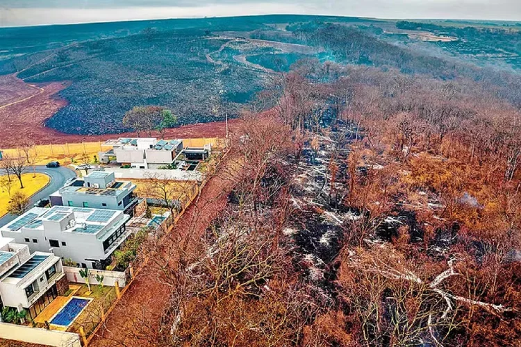 Em Ribeirão Preto, o fogo chegou a poucos metros de um condominio de casas de luxo e moradores tiveram que deixar seus lares (AFP)