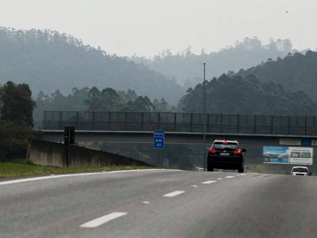 Gestora 4UM vence leilão da BR-381/MG, conhecida como 'Rodovia da morte'