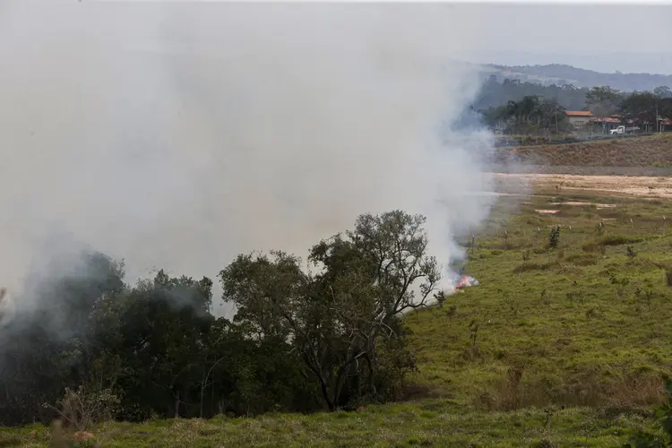 São Paulo (SP) 24/08/2024 - Foco de incêndio próximo a rodovia presidente Castelo Branco, o governo de São Paulo cria gabinete de crise para combate a incêndios
Estradas são interditadas e 30 municípios estão em alerta máximo
Foto: Paulo Pinto/Agência Brasil (Paulo Pinto/Governo do Estado de SP)