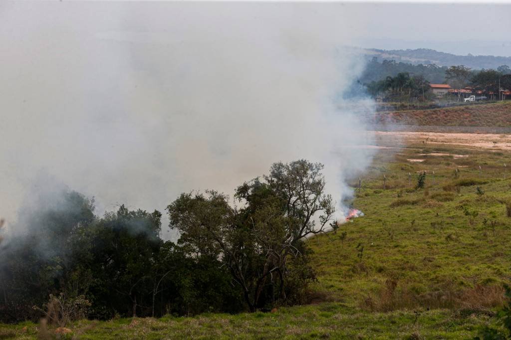 Incêndios em SP: sétimo suspeito de atear fogo em mata é preso pelas autoridades