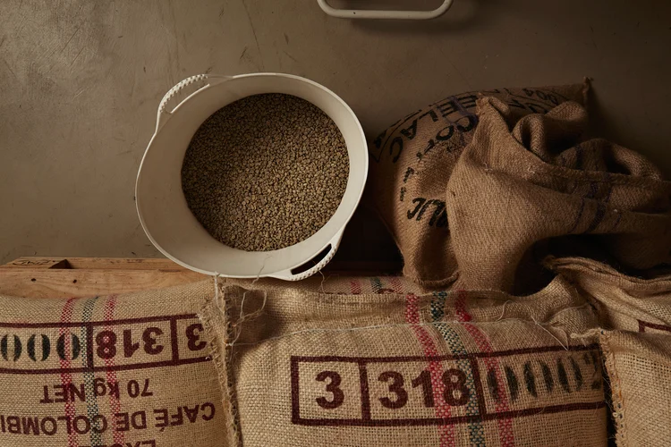 Raw green coffee beans from white plastic basket, above cotton bags on europalet in warehouse. New import from plantations and farm, peeled and ready to roast (Freepik)