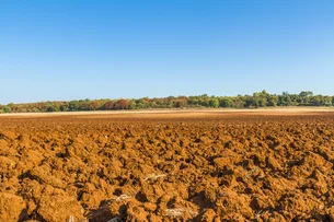 O Fiagro de terra da Arar Capital vem aí – e quer captar R$ 500 milhões