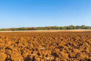 Imagem referente à matéria: O Fiagro de terra da Arar Capital e do Andbank vem aí – e quer captar R$ 500 milhões