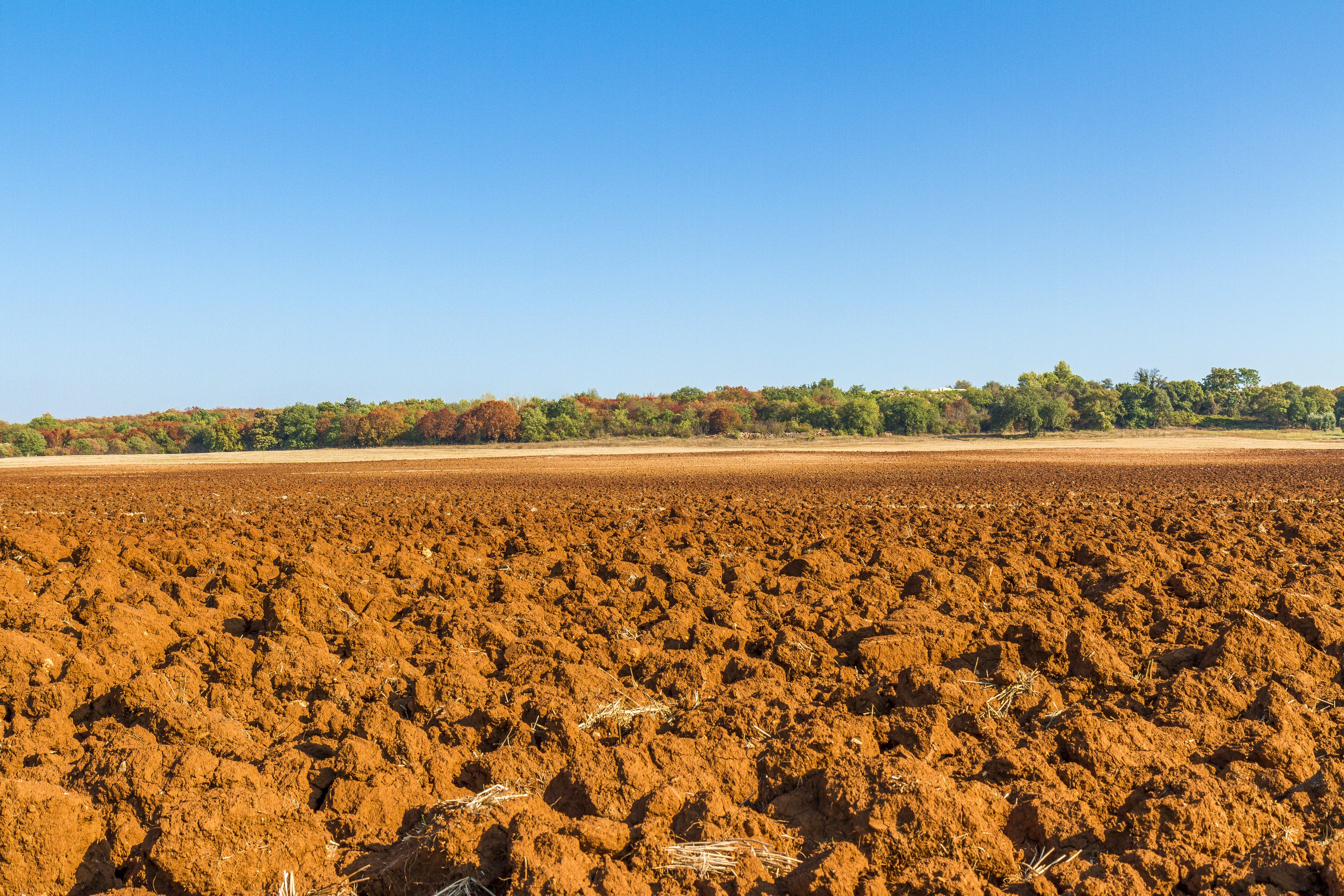 Arar Capital lança Fiagro de terra e quer captar R$ 500 milhões