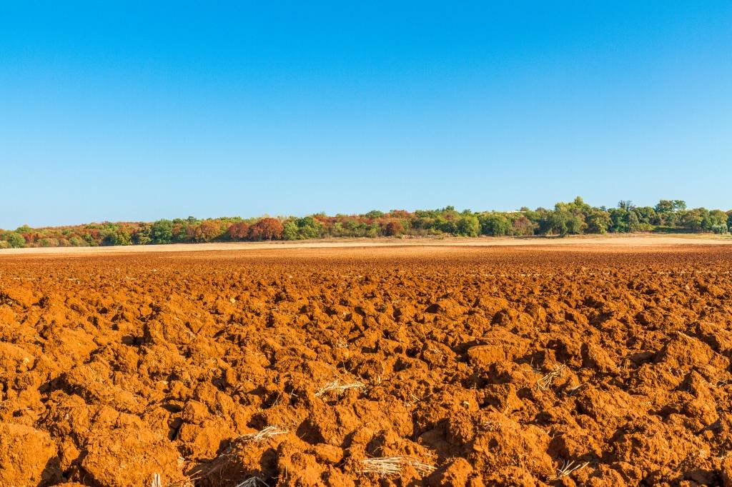 O Fiagro de terra da Arar Capital vem aí – e quer captar R$ 500 milhões