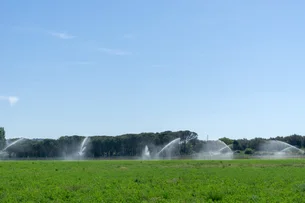 Desigualdade no campo em projetos de irrigação para o enfrentamento às mudanças climáticas
