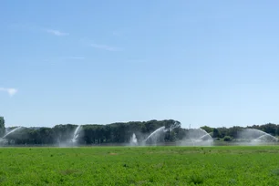 Imagem referente à matéria: Desigualdade no campo em projetos de irrigação para o enfrentamento às mudanças climáticas