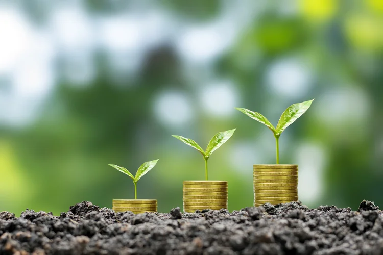 Os dados do BCG apontam para um futuro de expansão robusta e impulsionado por uma mudança global em direção ao desenvolvimento sustentável (Freepik)