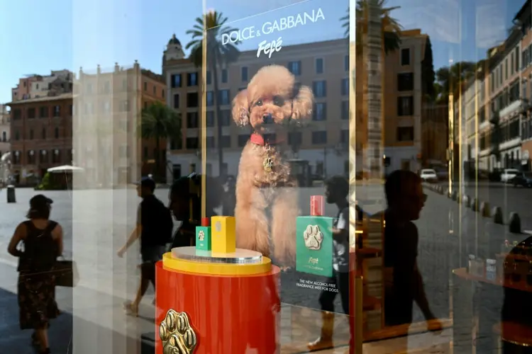 Perfume para cães da Dolce&Gabbana exposto em uma vitrine (AFP)